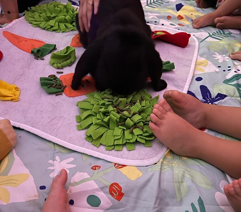 Des animaux à la MAM grâce à Sandrine d’O Fil des Emotions